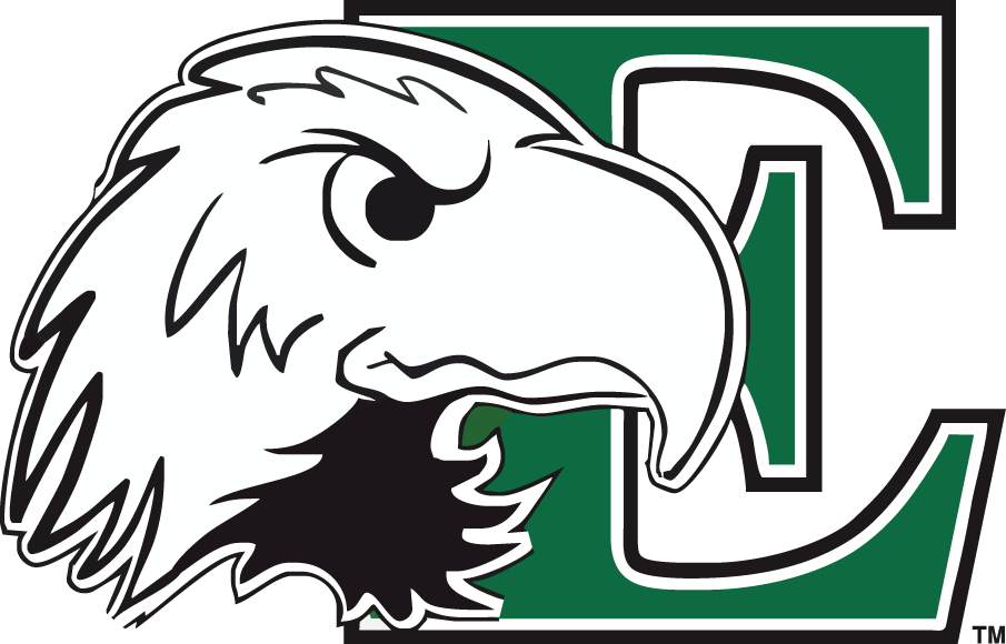 Eastern Michigan Eagles 2003-2012 Primary Logo iron on paper